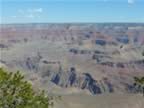 A- Yaki Point Canyon View (1).jpg (73kb)
